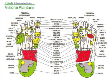 Riflessologia plantare: la mappa del piede