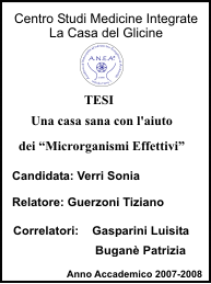 Una casa sana con l'aiuto dei “Microrganismi Effettivi”